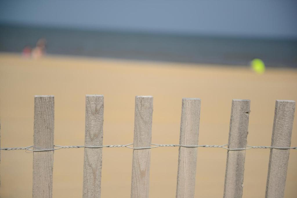 Beach House Dewey Dewey Beach Luaran gambar